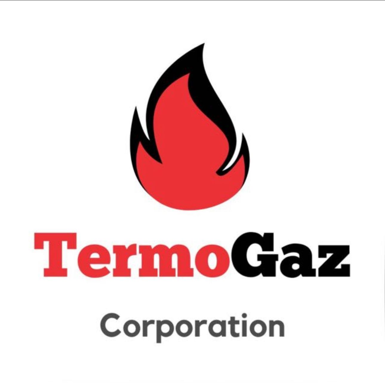 TermoGaz Logo
